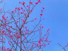 -小南山公园