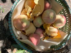 -老袁家蜜桃农场·阳山水蜜桃