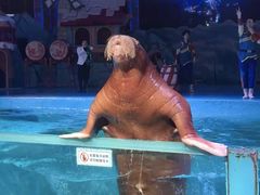 -大连圣亚海洋世界