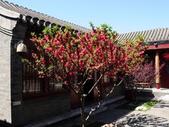 -李叔同故居纪念馆