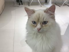 -怪兽屋·羊驼·猫咖·狗咖(俊华广场店)