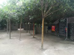 -勇士之星真人CS·团建·拓展(清水河公园店)