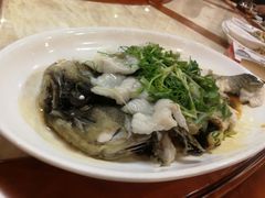 清蒸老虎斑-新塘畔酒楼(里水大道北店)