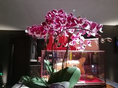 -苏城家宴·金堤花园店(李公堤店)