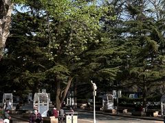 -贮水山儿童公园