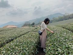 -优游吧斯邹族文化部落