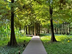 -溱湖国家湿地公园