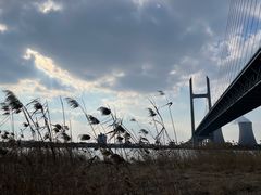 -上海浦江郊野公园-4号停车场