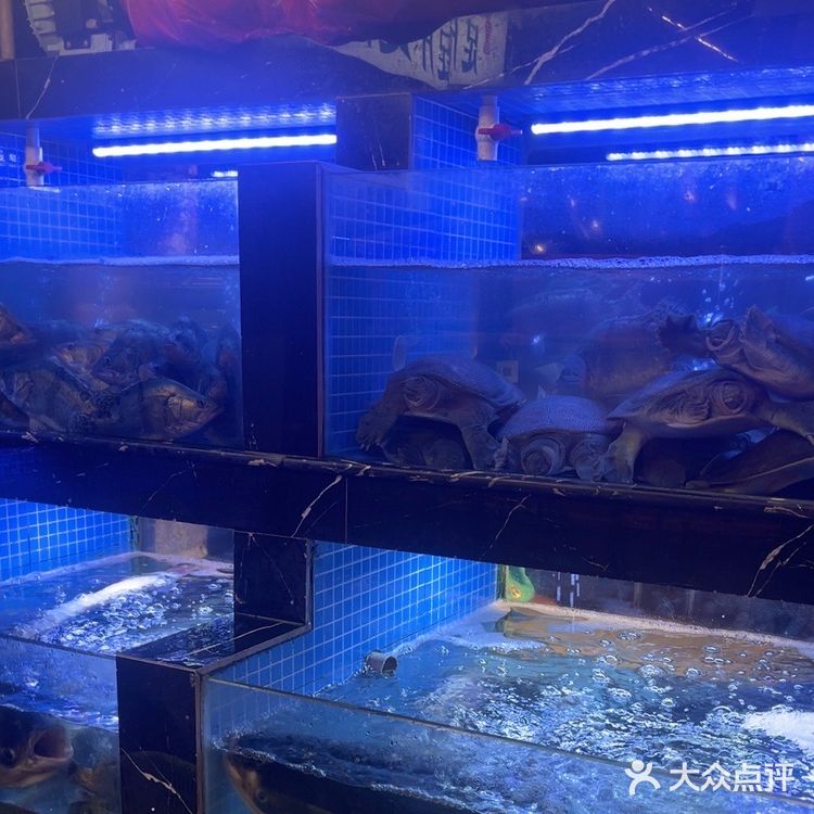 旅游郴州美食篇