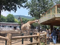 -大连森林动物园