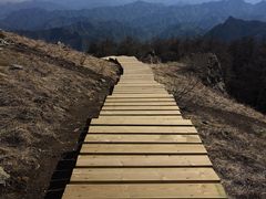 -白草畔自然风景区