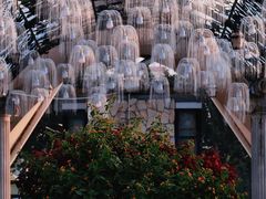 -北京世界花卉大观园