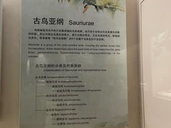 -辽宁古生物博物馆