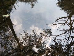 -黄公望隐居地