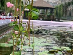 -常州花鸟园酒店(西太湖品牌优选店)