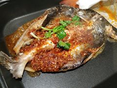 -鱼来顺纸上烤鱼