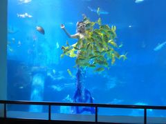 -太平洋海底世界