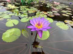 -青芝山风景名胜区