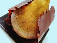 -Husky Go! 哈士奇体验馆·宠物咖啡厅狗咖