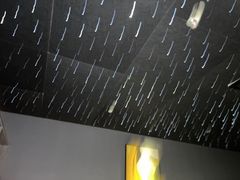 -梵猫·新养生(加州广场店)