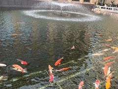 -番禺宾馆丽苑厅