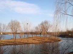-东郊湿地公园