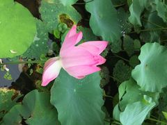 望津里精品酒店-乌镇望津里精品酒店