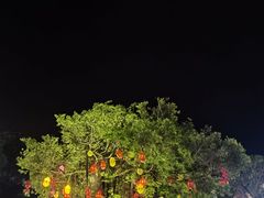 -莆田湄洲妈祖祖庙