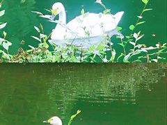 -长白岛森林公园