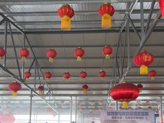 -东方巨龟苑景区