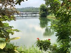 园内景色-河川生态园