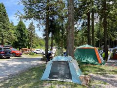 -武陵山森林公园