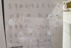 -君昂童子军儿童乐园(壹方城店)