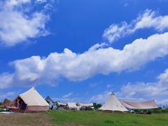 -春花秋色城市公园