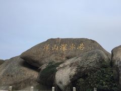 -洋山深水港