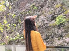 -雅苑中餐厅
