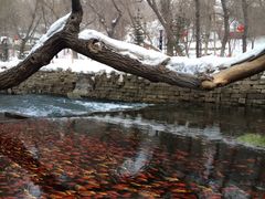 iphone_upload_pic-水磨沟公园