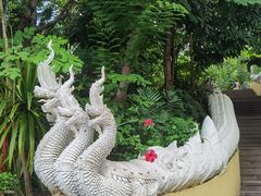 -曼听御花园