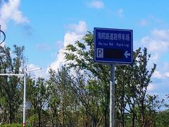 -奉贤海滩