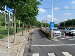 -上海佘山国家森林公园天马山园