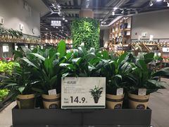 -鹿岛会员店 (龙湖三千集天街店)