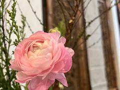 -龙源茶坊(白银路店)