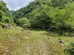 -黑河国家森林公园