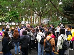 -松山湖南湖湾露营营地