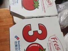-达美乐比萨(国瑞北路店)