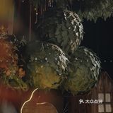 动物森友会~小森系婚礼推荐!