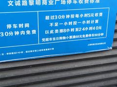 -卜蜂莲花(松江文诚路店)