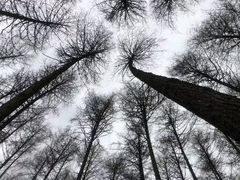 -硗碛藏寨·神木垒景区