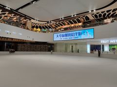 -TheRink大零溜冰场(IFS国金中心店)