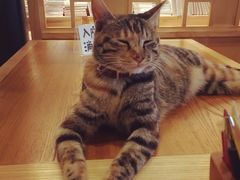 -猫的天空之城概念书店(杭州南宋御街店)